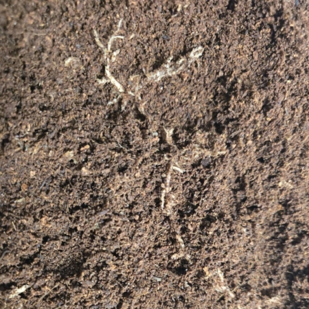 Snails Substrate - podłoże dla ślimaków 5L